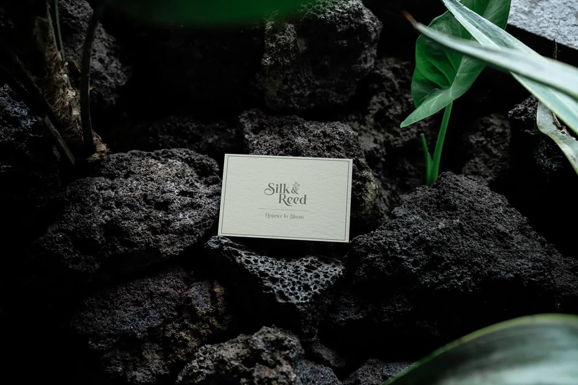 A cream Silk & Reed business card resting on dark volcanic rocks beside green leaves